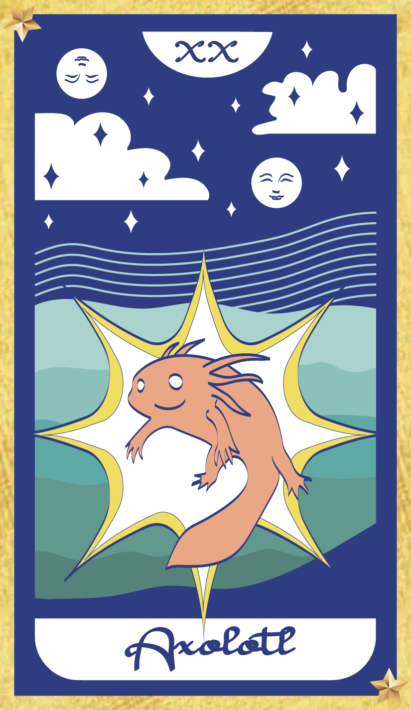 Illustration 1